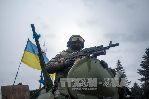 Mỹ chưa quyết định cung cấp vũ khí sát thương cho Ukraine ảnh 1